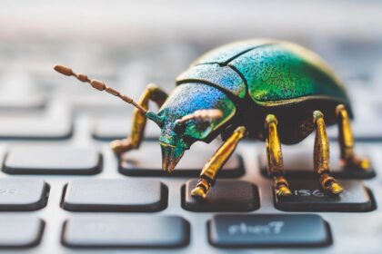 Google et le bug des avis : ce qu’il faut retenir